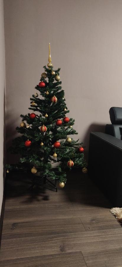Home Apartament 브라쇼브 외부 사진